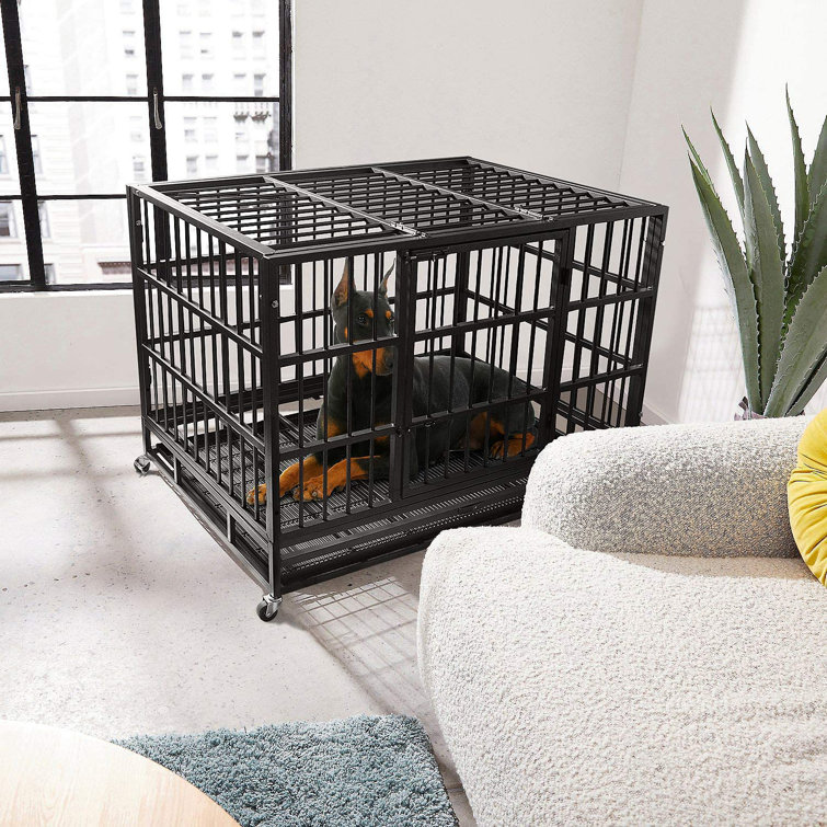 What Is The Strongest Dog Crate Available